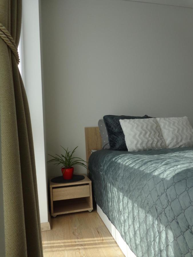Elzbietos Centro Apartamentai VNO Esterno foto