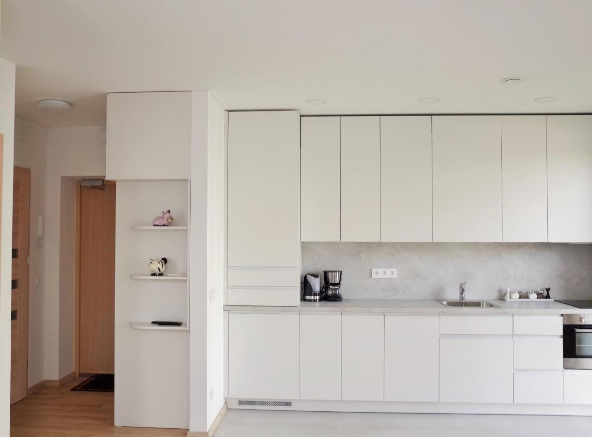 Elzbietos Centro Apartamentai VNO Esterno foto