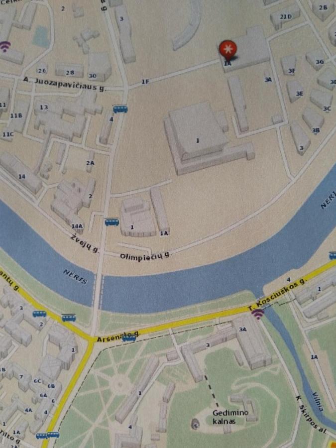 Elzbietos Centro Apartamentai VNO Esterno foto